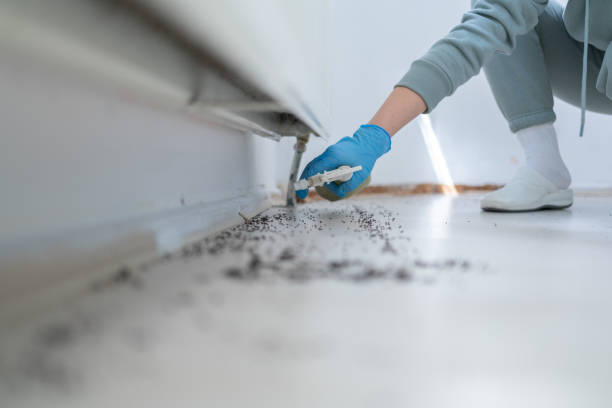Best Residential Pest Control  in Welch, WV